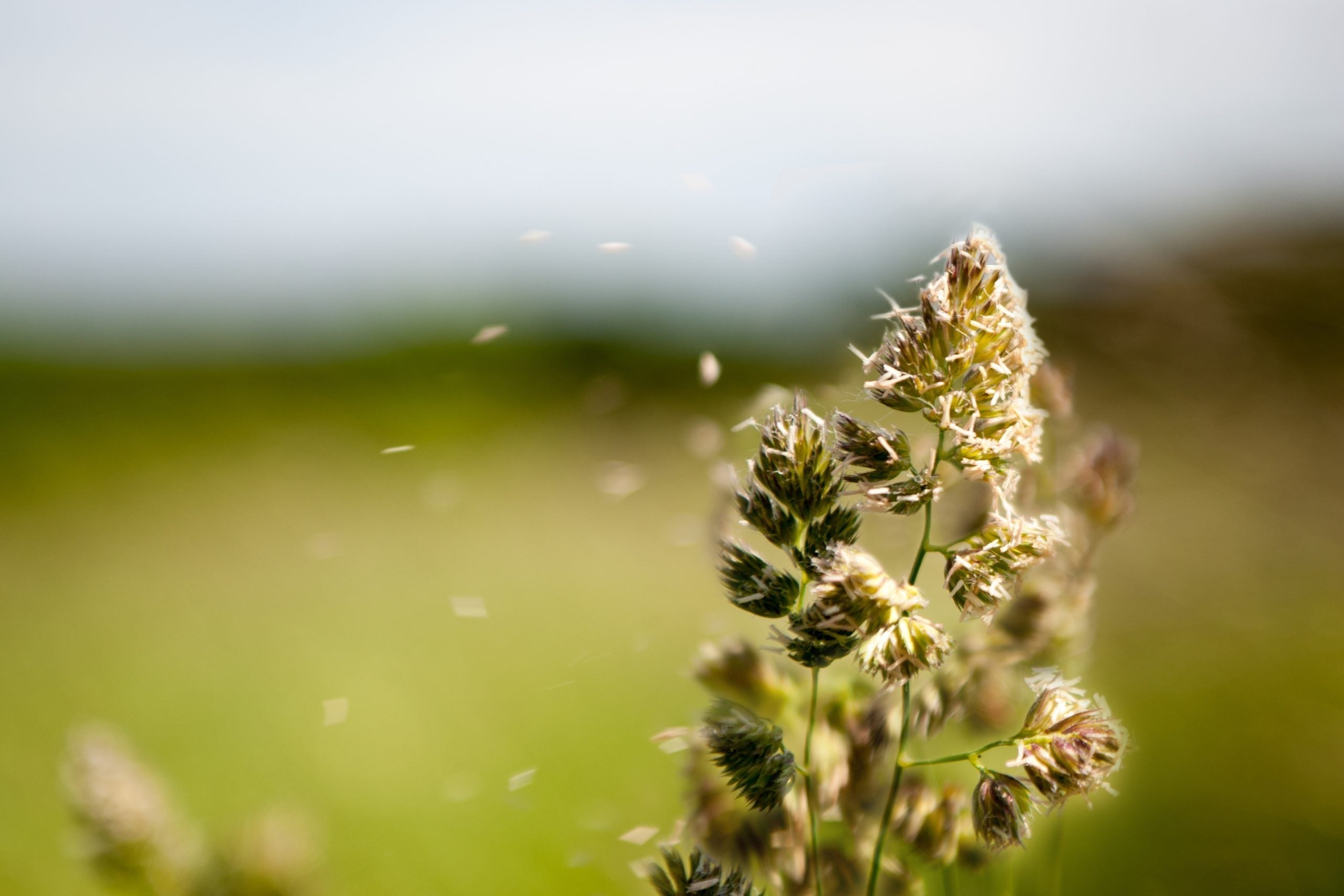 DTPH - vizuali za blogove 5040x3360 px